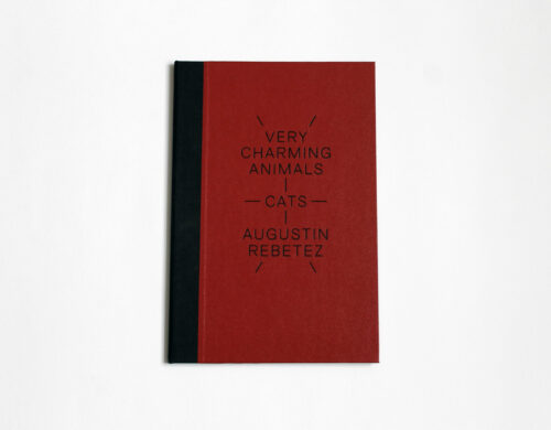 Augustin Rebetez, VERY CHARMING ANIMALS : CATS