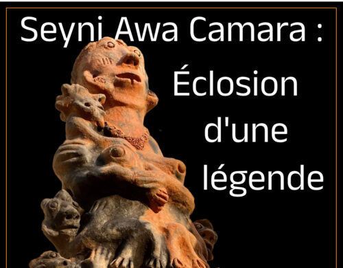 Avant-première « Seyni Awa Camara »